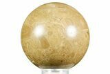 Polished Bird's Eye Jasper (Rhyolite) Sphere - Utah #371224-1